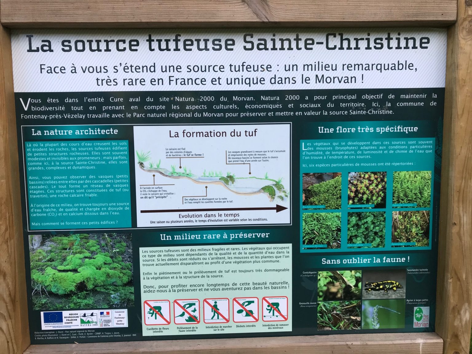 L’étang de FontenayprèsVézelay Avallon Morvan Pêche