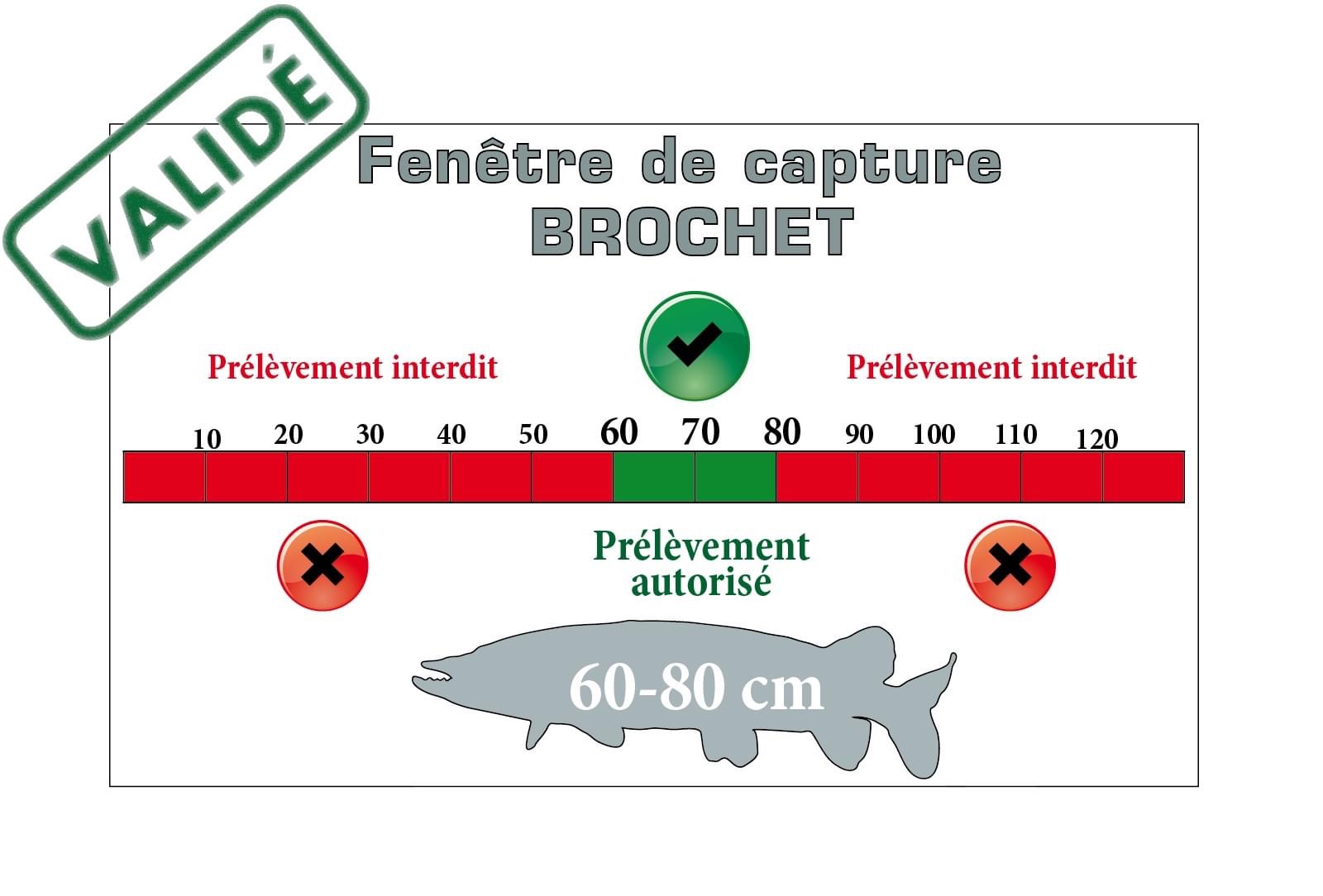 Cartes De Pêche Imperméables Fishing Hot Spots – Lac Brochet Et Petit Lac Vert (Wisconsin)